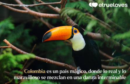 Diversidad